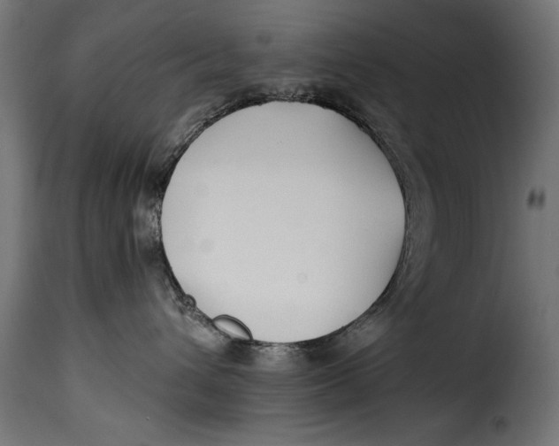 X0000115240432200911201624
