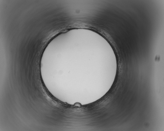 X0000115240433200911201624
