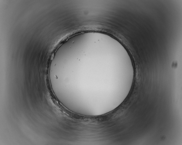 X0000115240434200911201624