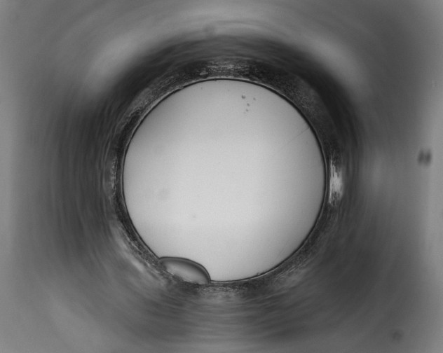 X0000115240435200911201624