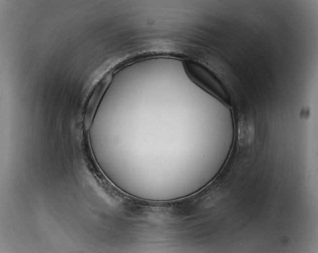 X0000115240436200911201624