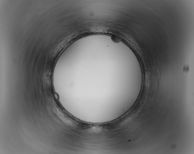 X0000115240441200911201624