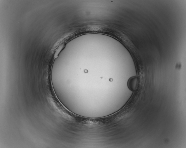 X0000115240442200911201624