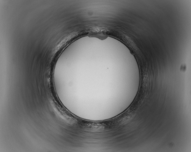 X0000115240443200911201624