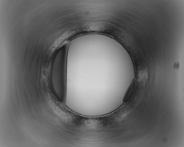 X0000115240444200911201624