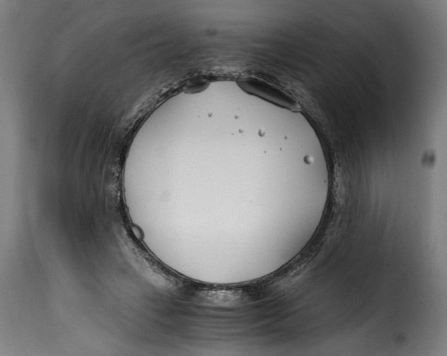 X0000115240449200911201624