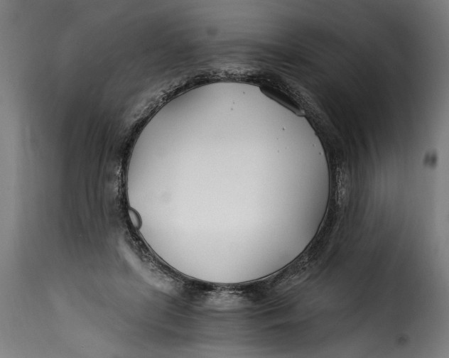 X0000115240451200911201624