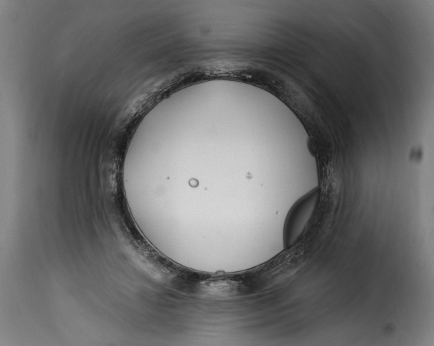 X0000115240452200911201624