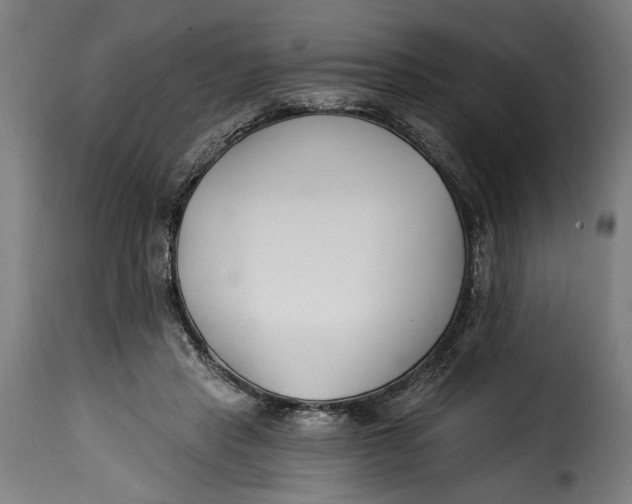 X0000115240453200911201624