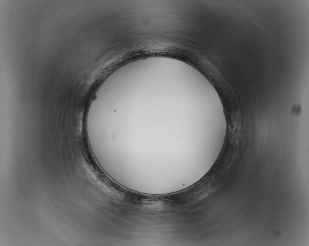 X0000115240454200911201624
