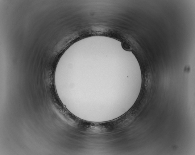 X0000115240455200911201624