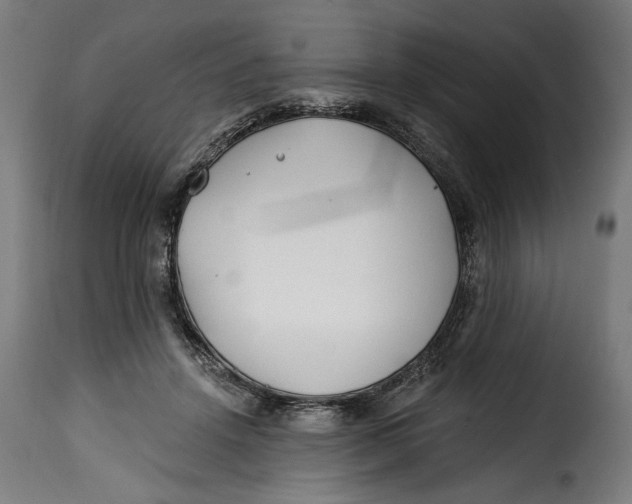 X0000115240456200911201624