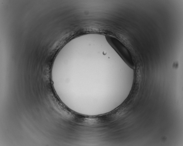 X0000115240457200911201624