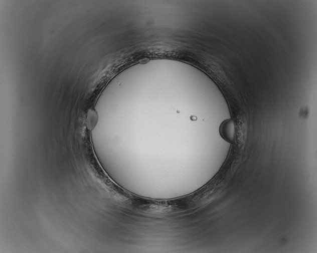 X0000115240458200911201624