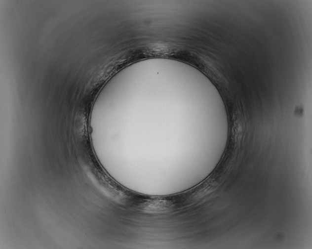 X0000115240459200911201624