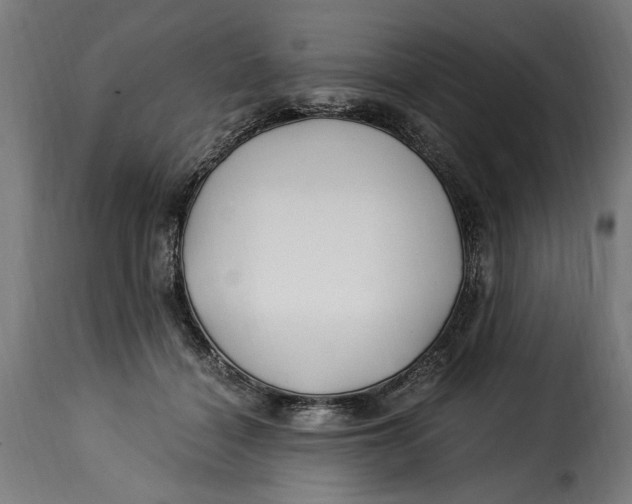 X0000115240460200911201624
