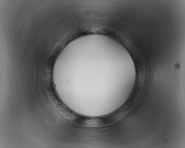 X0000115240461200911201624