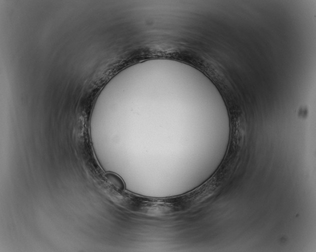X0000115240463200911201624