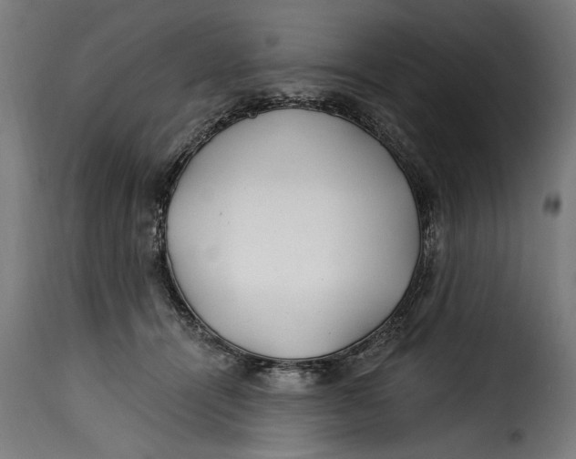 X0000115240464200911201624