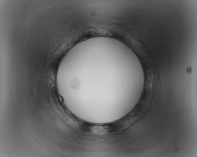 X0000115240465200911201624
