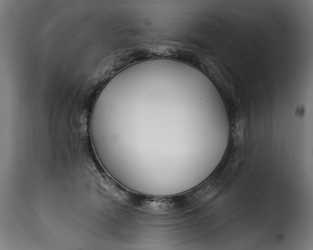 X0000115240466200911201624