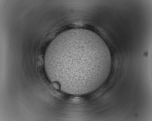 X0000115240467200911201624