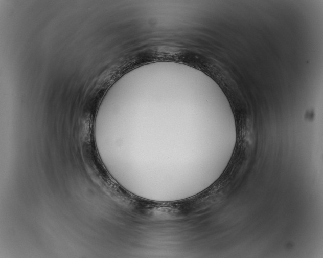 X0000115240468200911201624