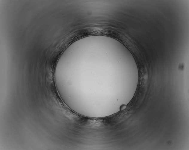 X0000115240469200911201624