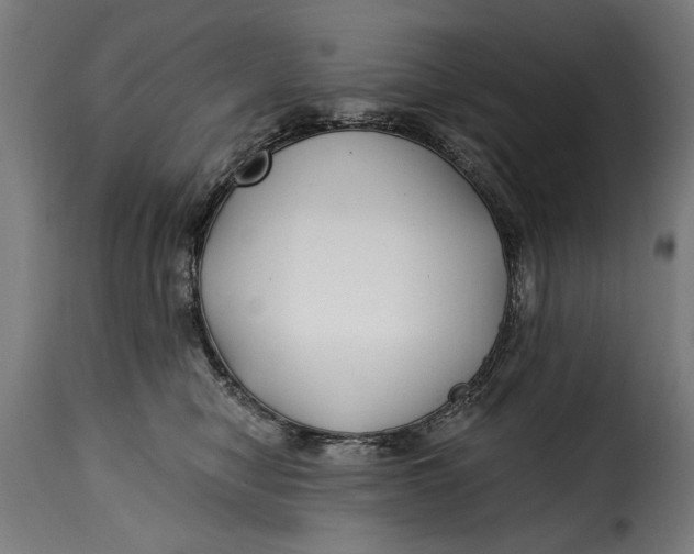 X0000115240470200911201624