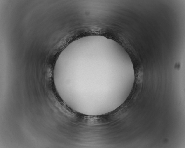 X0000115240472200911201624
