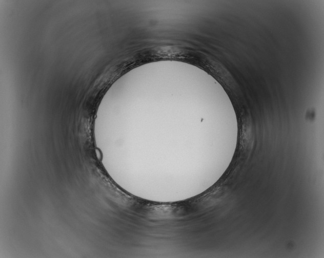X0000115240473200911201624