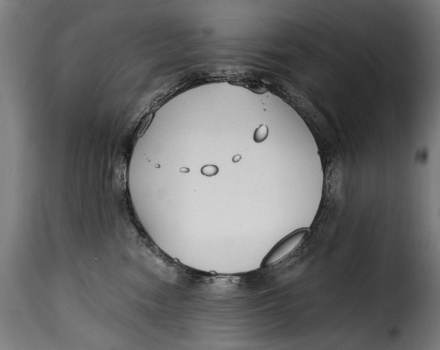 X0000115240474200911201624