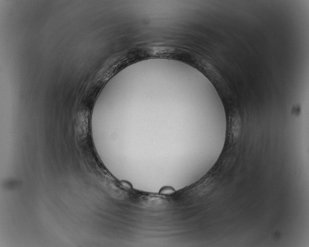 X0000115240475200911201624