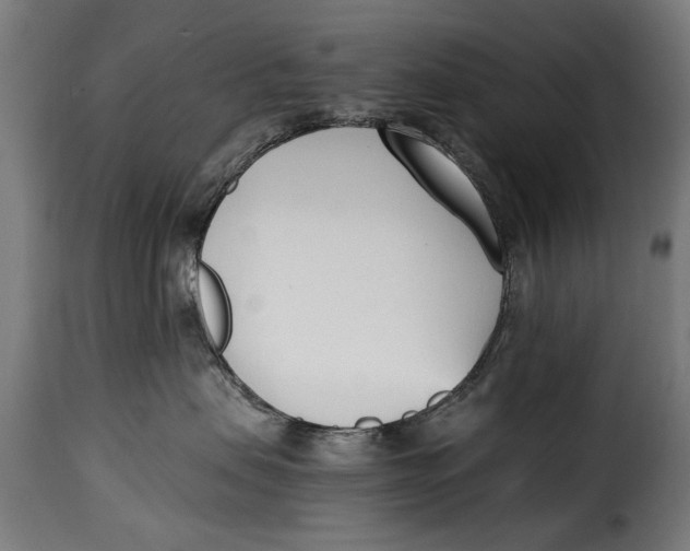 X0000115240479200911201624