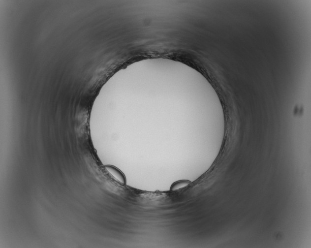 X0000115240480200911201624