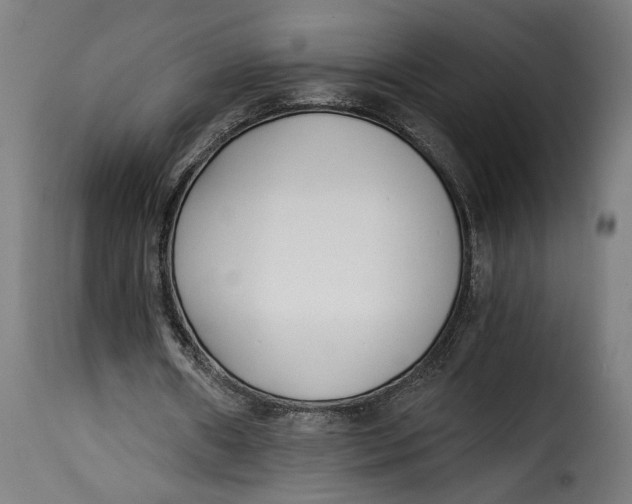 X0000115240482200911201623