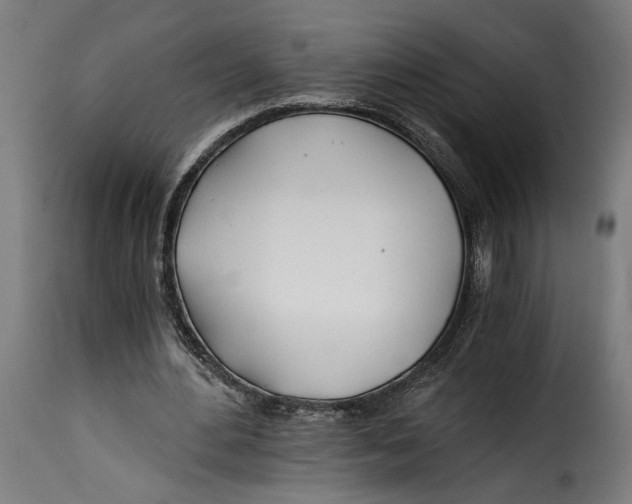 X0000115240484200911201623