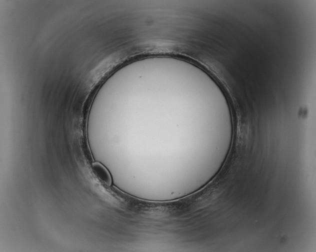 X0000115240485200911201623