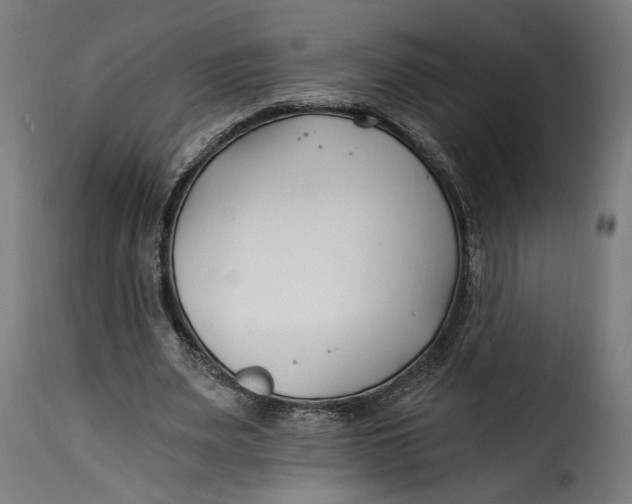X0000115240487200911201623