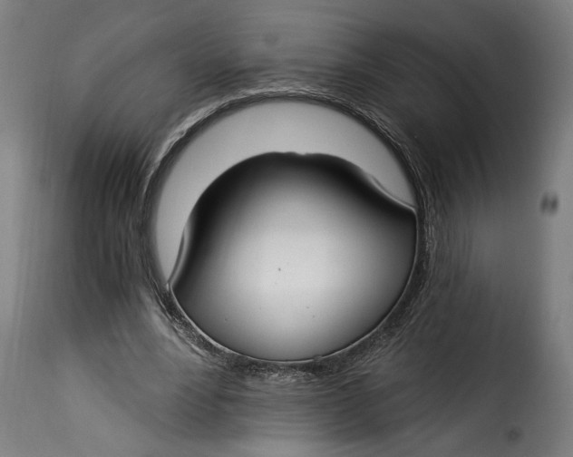 X0000115240488200911201623