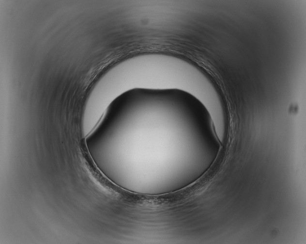 X0000115240489200911201623