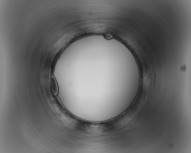 X0000115240493200911201623