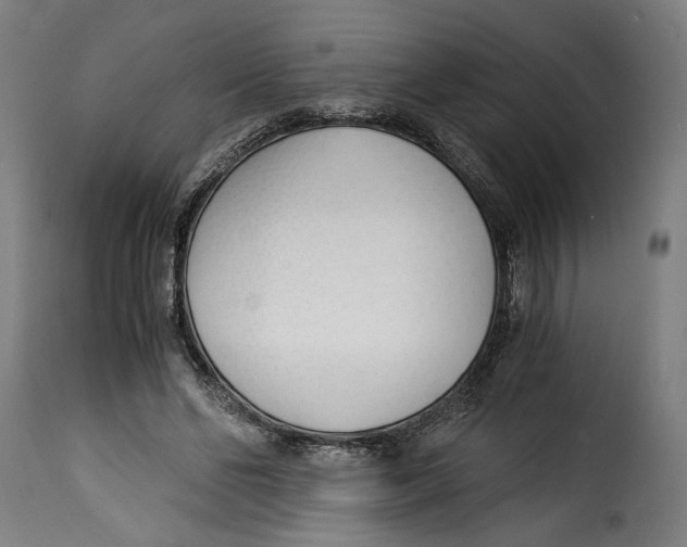 X0000115240494200911201623
