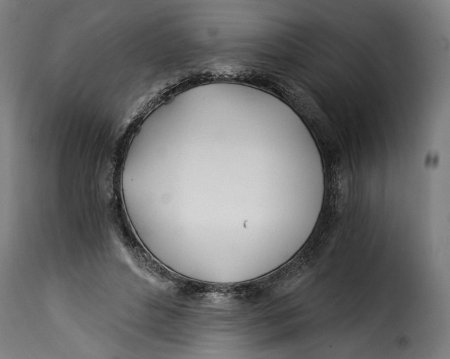 X0000115240496200911201623