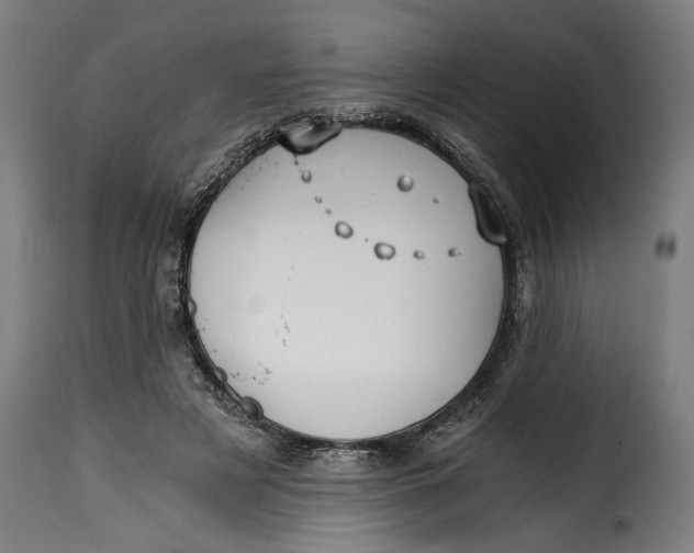X0000115240497200911201623