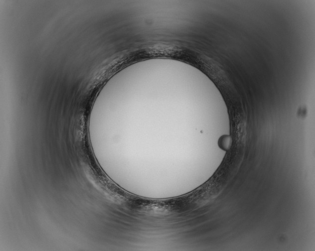 X0000115240498200911201623