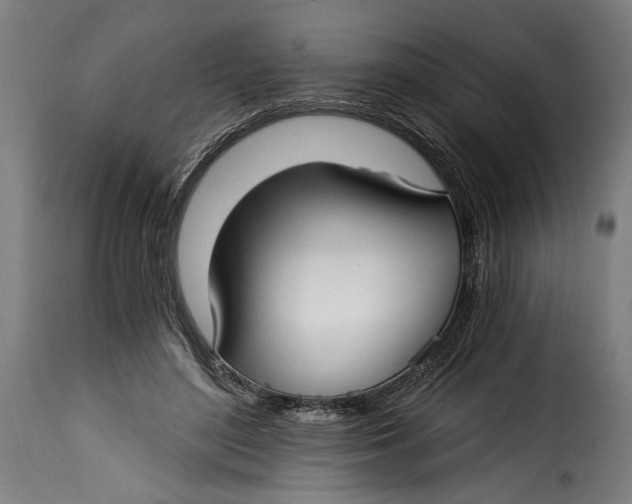 X0000115240500200911201623