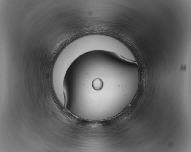 X0000115240501200911201623