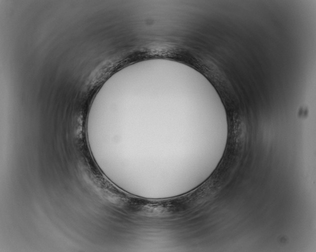 X0000115240502200911201623
