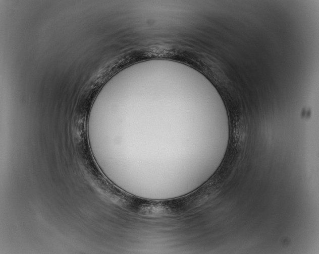 X0000115240503200911201623